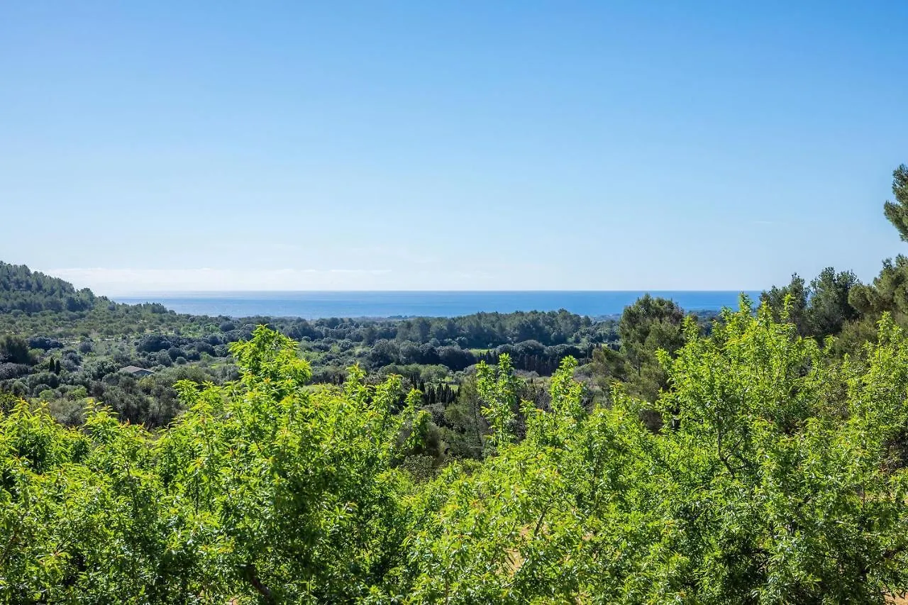 Finca Bionic Arta Villa