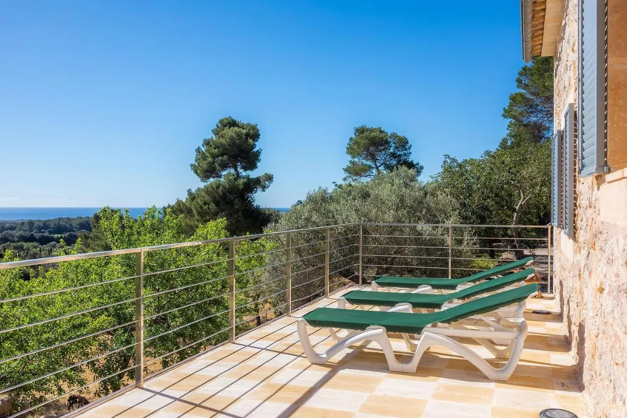Finca Bionic Arta