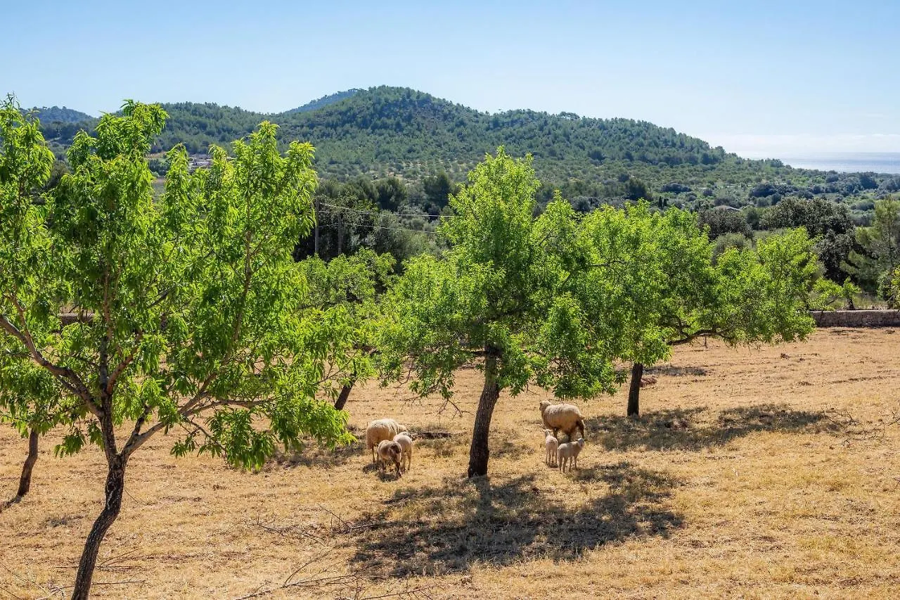 Finca Bionic Arta 0*,